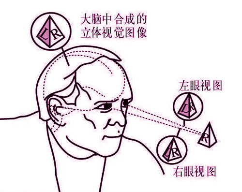 PG电子·仿照器(试玩游戏)官方网站